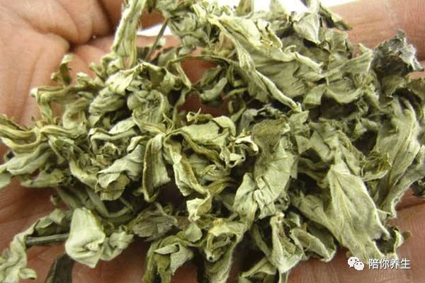 640 - 2026-04-01T162942.793.jpg