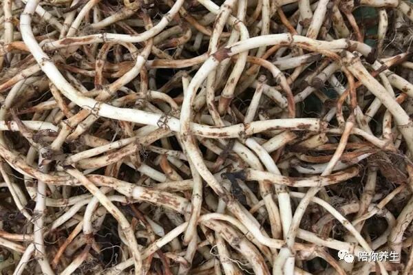 640 - 2026-04-01T162948.544.jpg