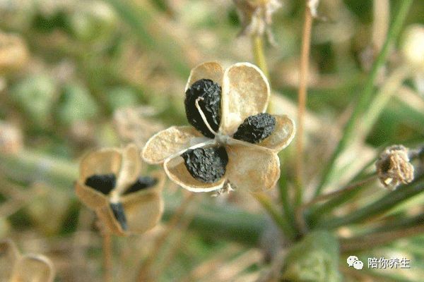 640 - 2026-04-01T163039.308.jpg