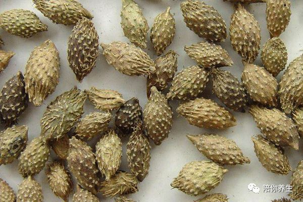 640 - 2026-04-01T163045.169.jpg