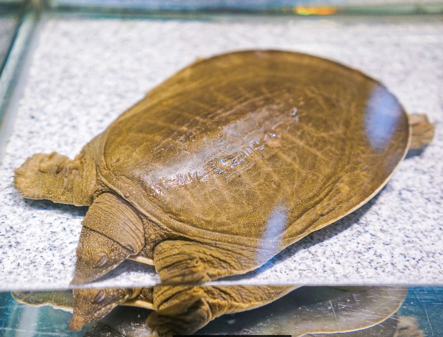 640 - 2026-04-01T164759.983.jpg