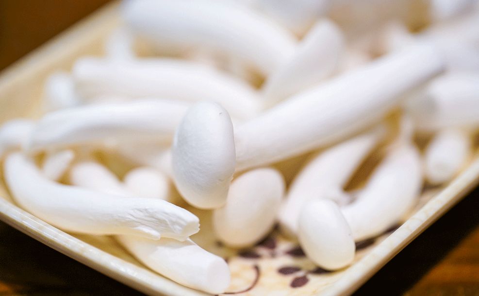 640 - 2026-04-01T164803.546.jpg