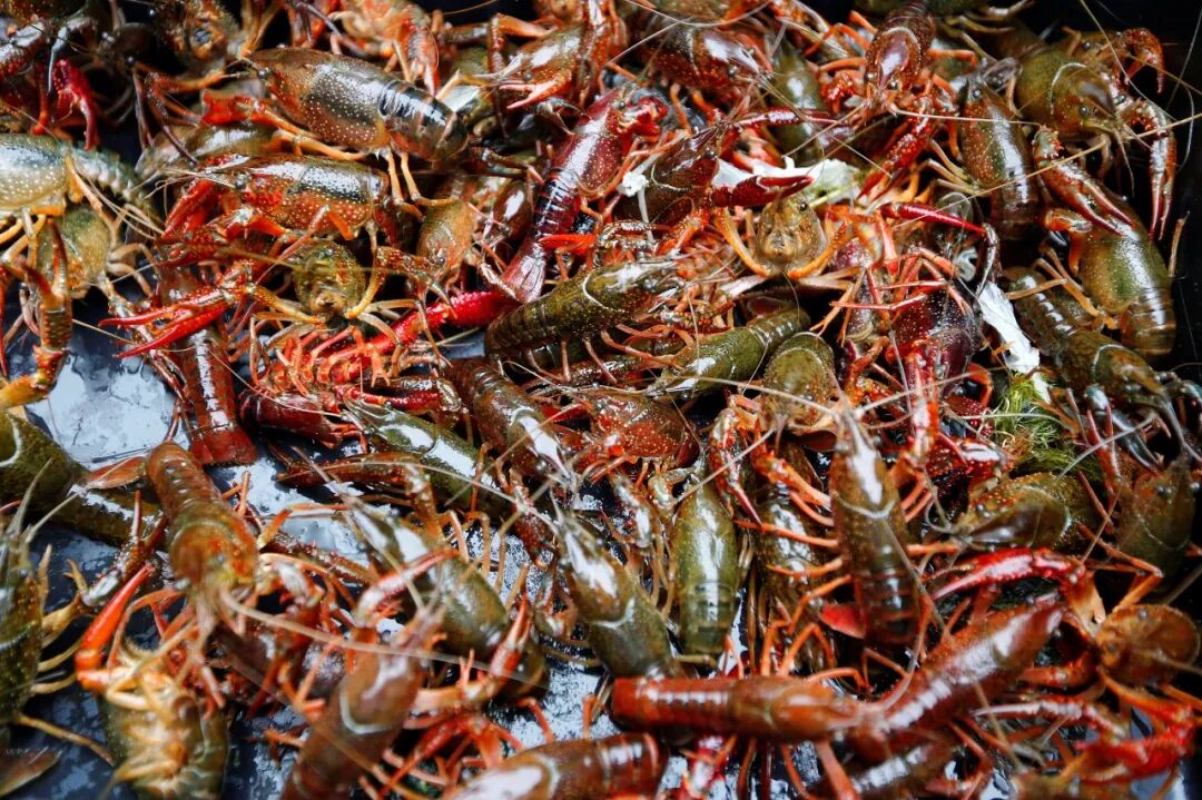 640 - 2026-04-01T173526.668.jpg