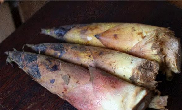 640 - 2026-04-02T175316.429.jpg