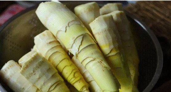 640 - 2026-04-02T175318.469.jpg