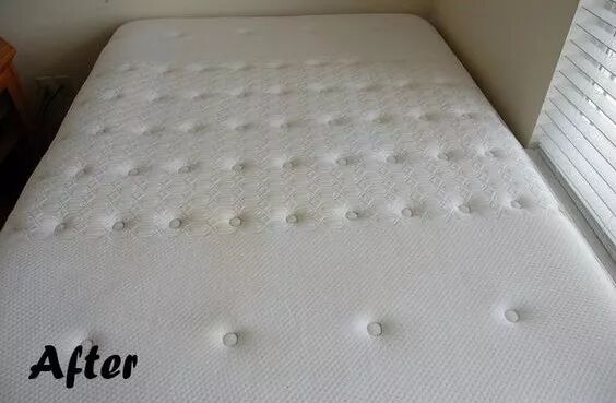 640 - 2026-04-03T163546.928.jpg