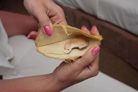 640 - 2026-04-03T165221.715.jpg