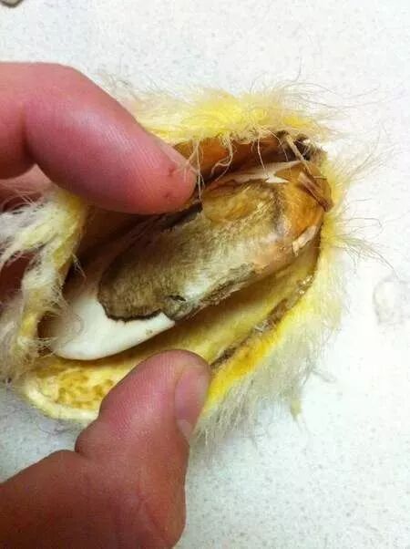 640 - 2026-04-03T165225.911.jpg