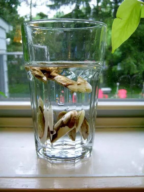 640 - 2026-04-03T165229.977.jpg