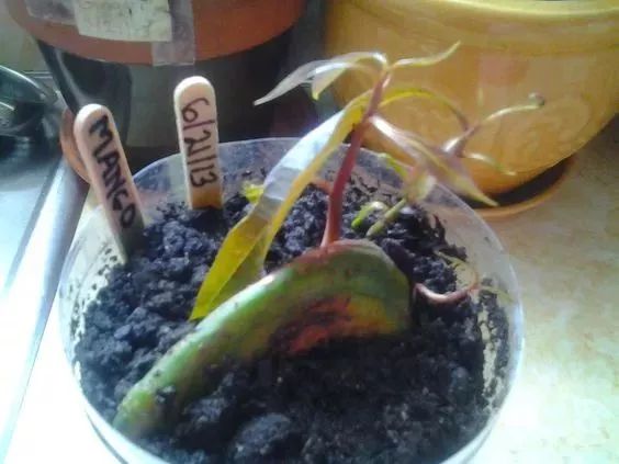 640 - 2026-04-03T165237.109.jpg