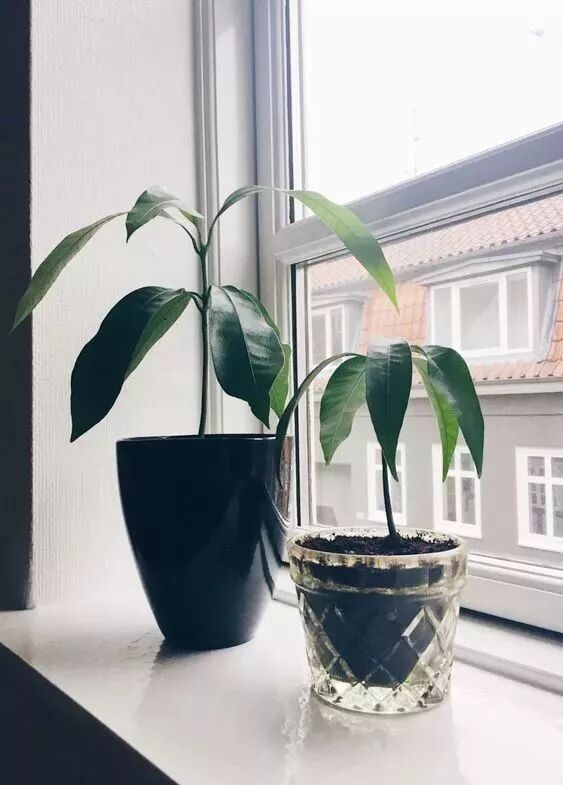 640 - 2026-04-03T165246.854.jpg