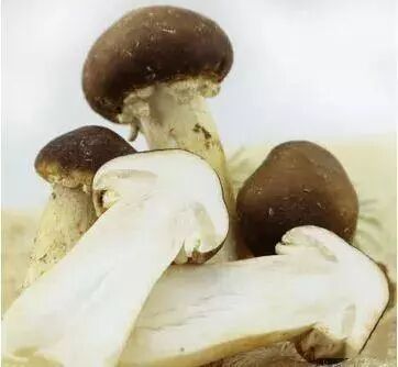 640 - 2026-04-03T170744.301.jpg