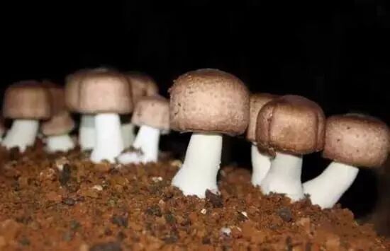 640 - 2026-04-03T170747.286.jpg