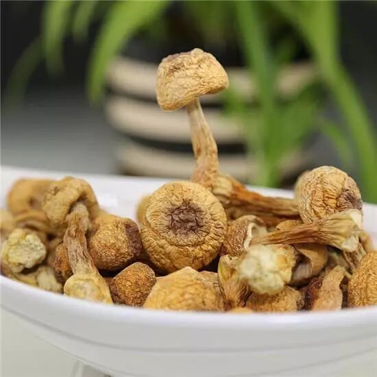 640 - 2026-04-03T170752.596.jpg