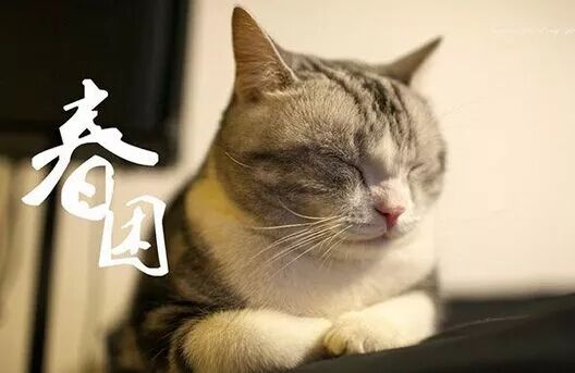 640 - 2026-04-07T184518.906.jpg