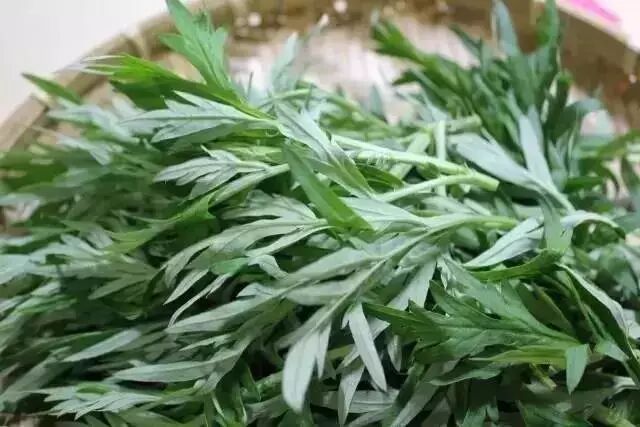 640 - 2026-04-10T161252.213.jpg