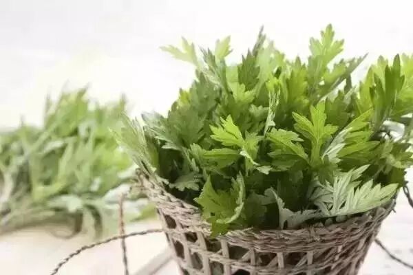 640 - 2026-04-10T161255.691.jpg