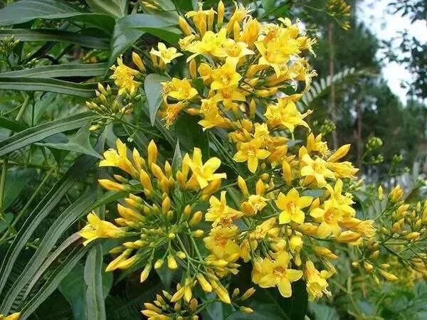 640 - 2026-04-10T164908.866.jpg