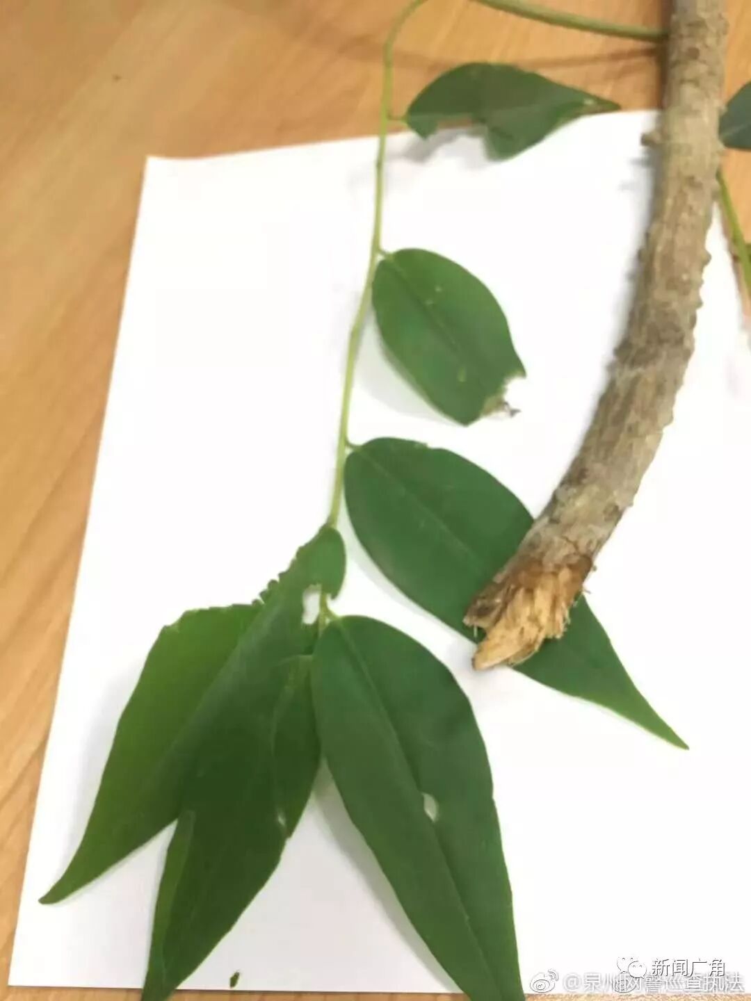 640 - 2026-04-10T164922.553.jpg