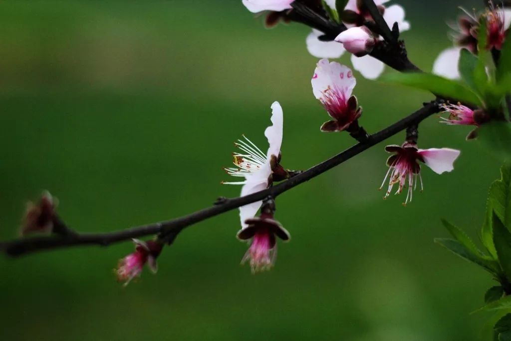 640 - 2026-04-13T155331.113.jpg