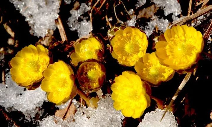 640 - 2026-04-13T155334.546.jpg