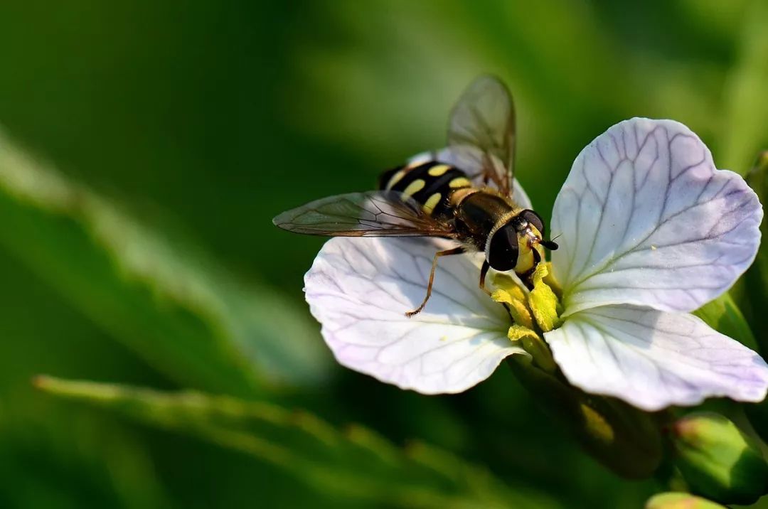 640 - 2026-04-13T155340.492.jpg