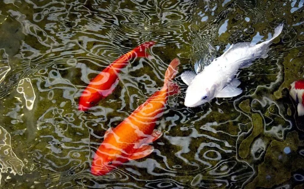 640 - 2026-04-13T155343.125.jpg