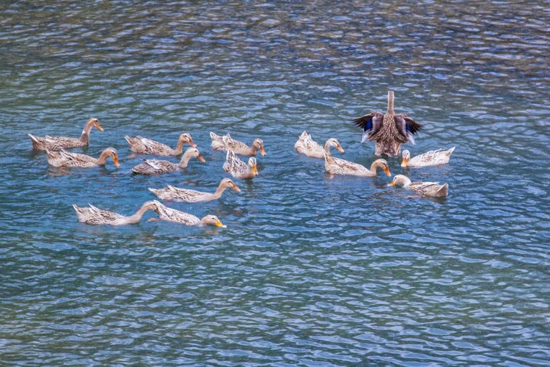 640 - 2026-04-13T155352.022.jpg