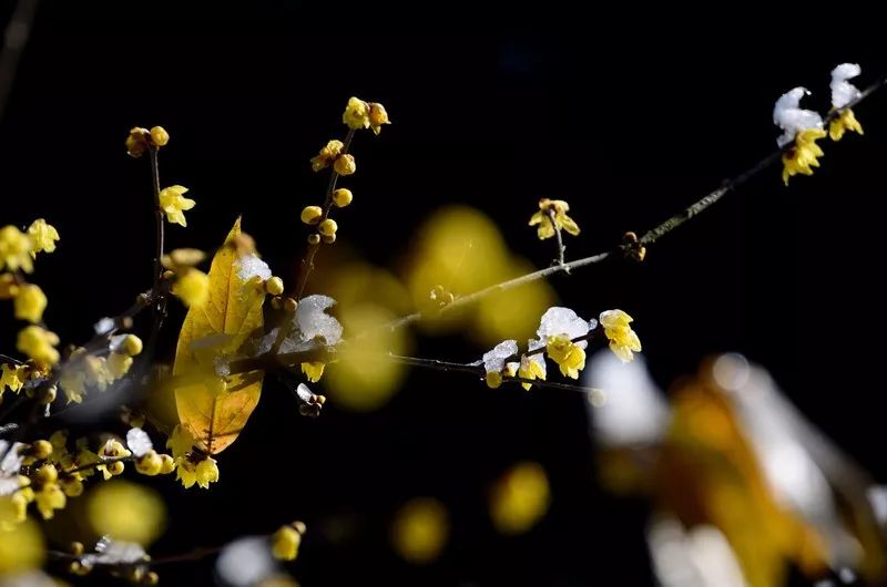 640 - 2026-04-13T155408.145.jpg