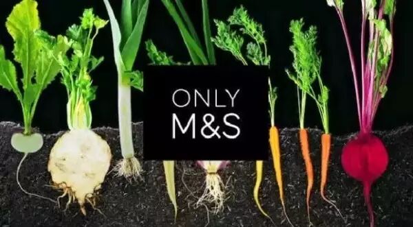 640 - 2026-04-20T195333.676.jpg