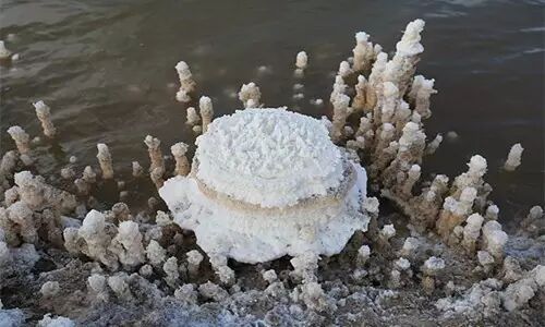 640 - 2026-04-21T170955.087.jpg