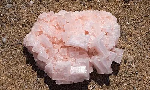 640 - 2026-04-21T171019.777.jpg