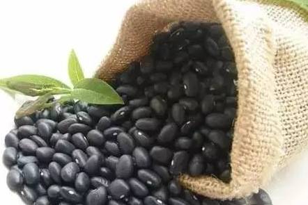 640 - 2026-04-21T191537.877.jpg