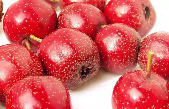 640 - 2026-04-24T174225.328.jpg