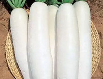 640 - 2026-04-24T175933.878.jpg