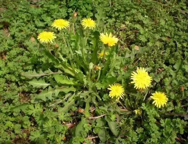 640 - 2026-04-25T163041.882.jpg