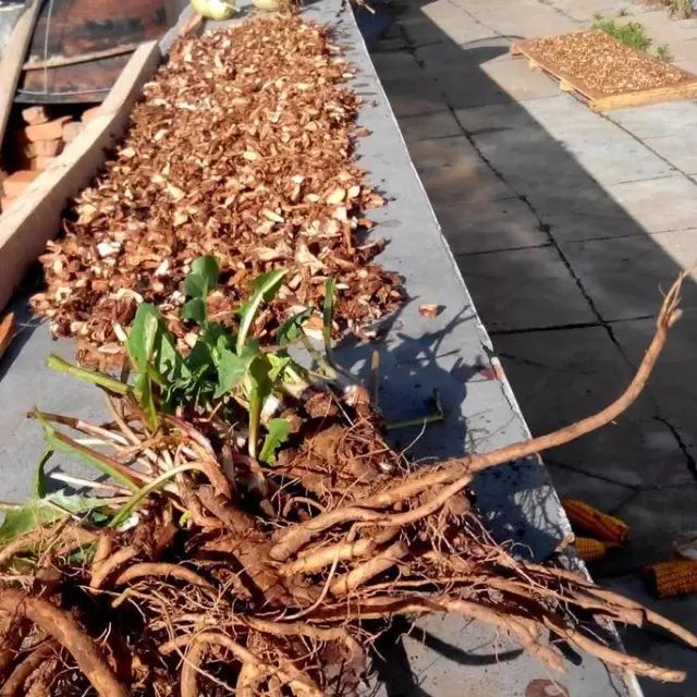 640 - 2026-04-25T163044.930.jpg