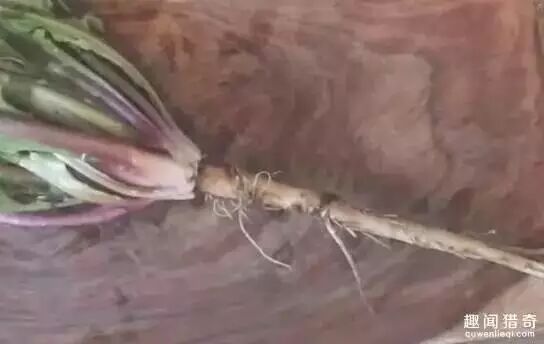 640 - 2026-04-25T163048.301.jpg