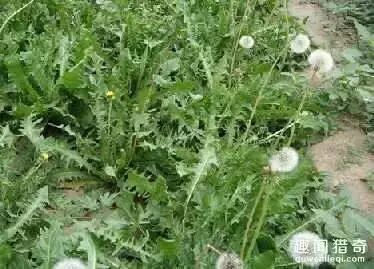 640 - 2026-04-25T163050.656.jpg