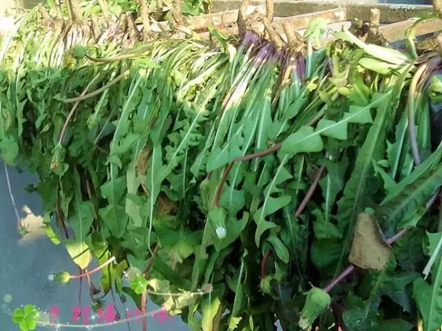 640 - 2026-04-25T163053.314.jpg