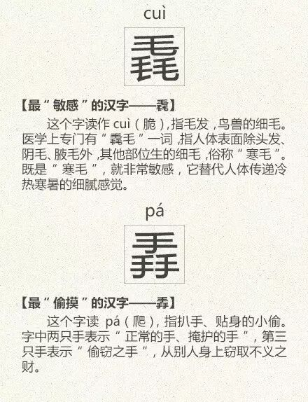 微信图片_2026-04-30_182415_088.jpg