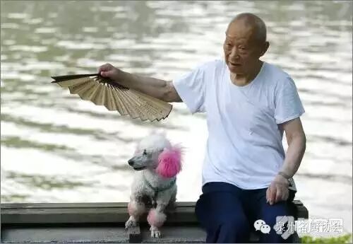 微信图片_2026-05-03_191614_180.jpg