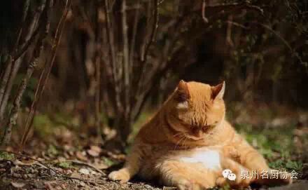 微信图片_2026-05-08_172446_981.jpg