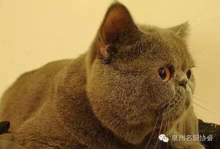 微信图片_2026-05-08_172503_467.jpg