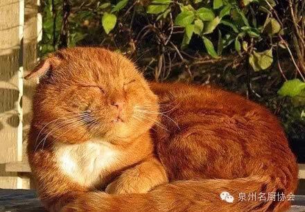微信图片_2026-05-08_172513_407.jpg