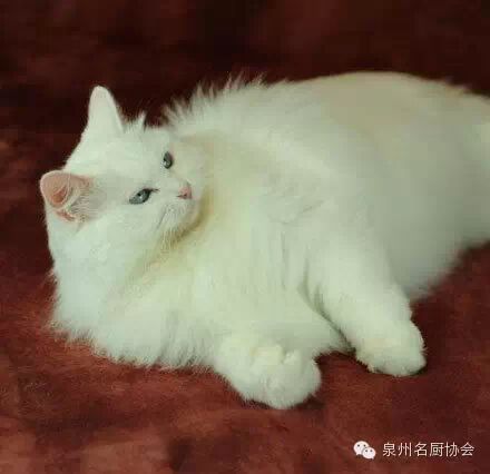 微信图片_2026-05-08_172516_651.jpg