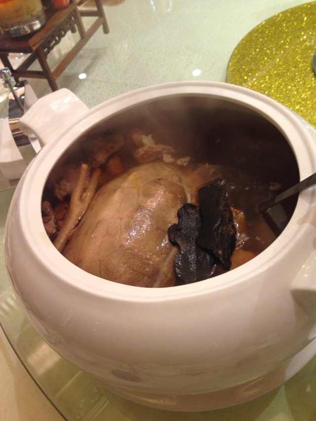 微信图片_2026-05-14_164100_054.jpg